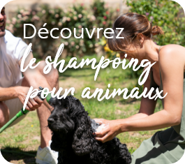 Shampoing animaux