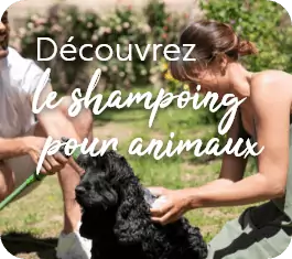 Shampoing animaux